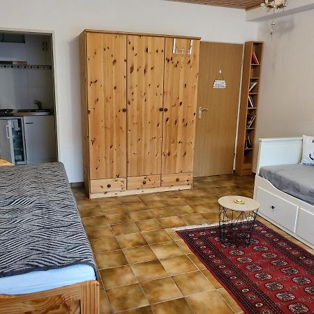 Apartment Betzenberg, Nur Netflix Kaiserslautern Dış mekan fotoğraf